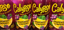 Load image into Gallery viewer, Calypso