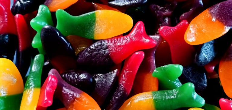 Colourful Fish